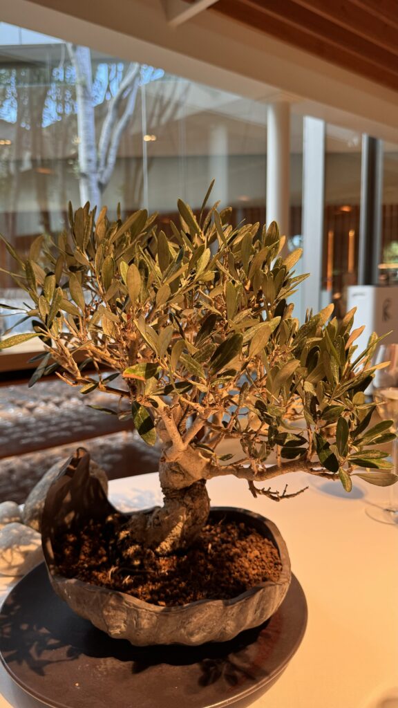 El Celler de Can Roca 05