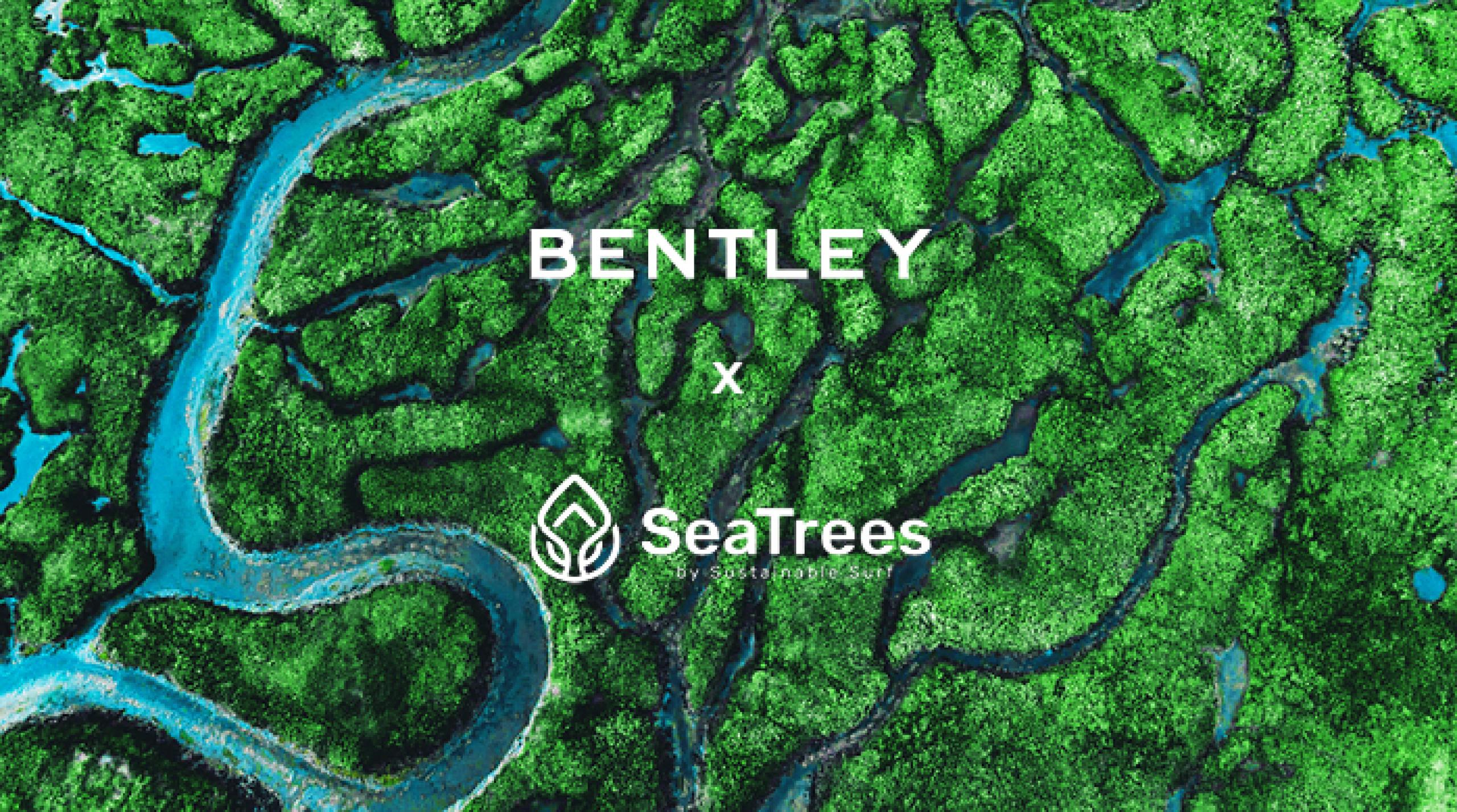 Bentley Motors Launches the Bentley Environmental Foundation