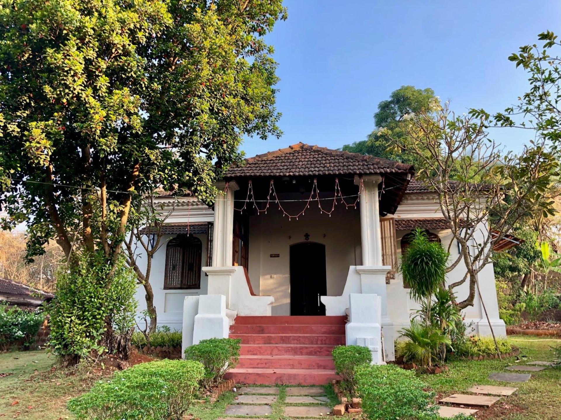 The Only Olive. An immersive 'Alternate Goa' living experience.
