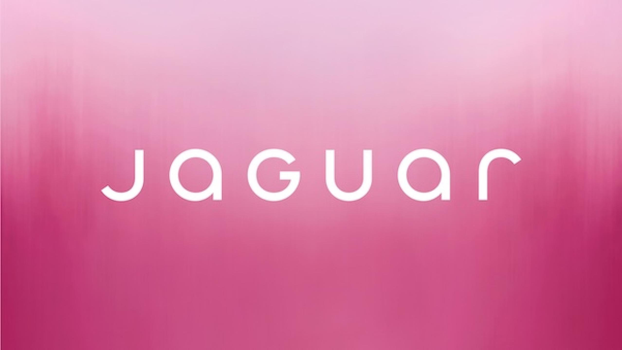 Stylishly Controversial New Jaguar Takes A Bold Step Into The Unknown