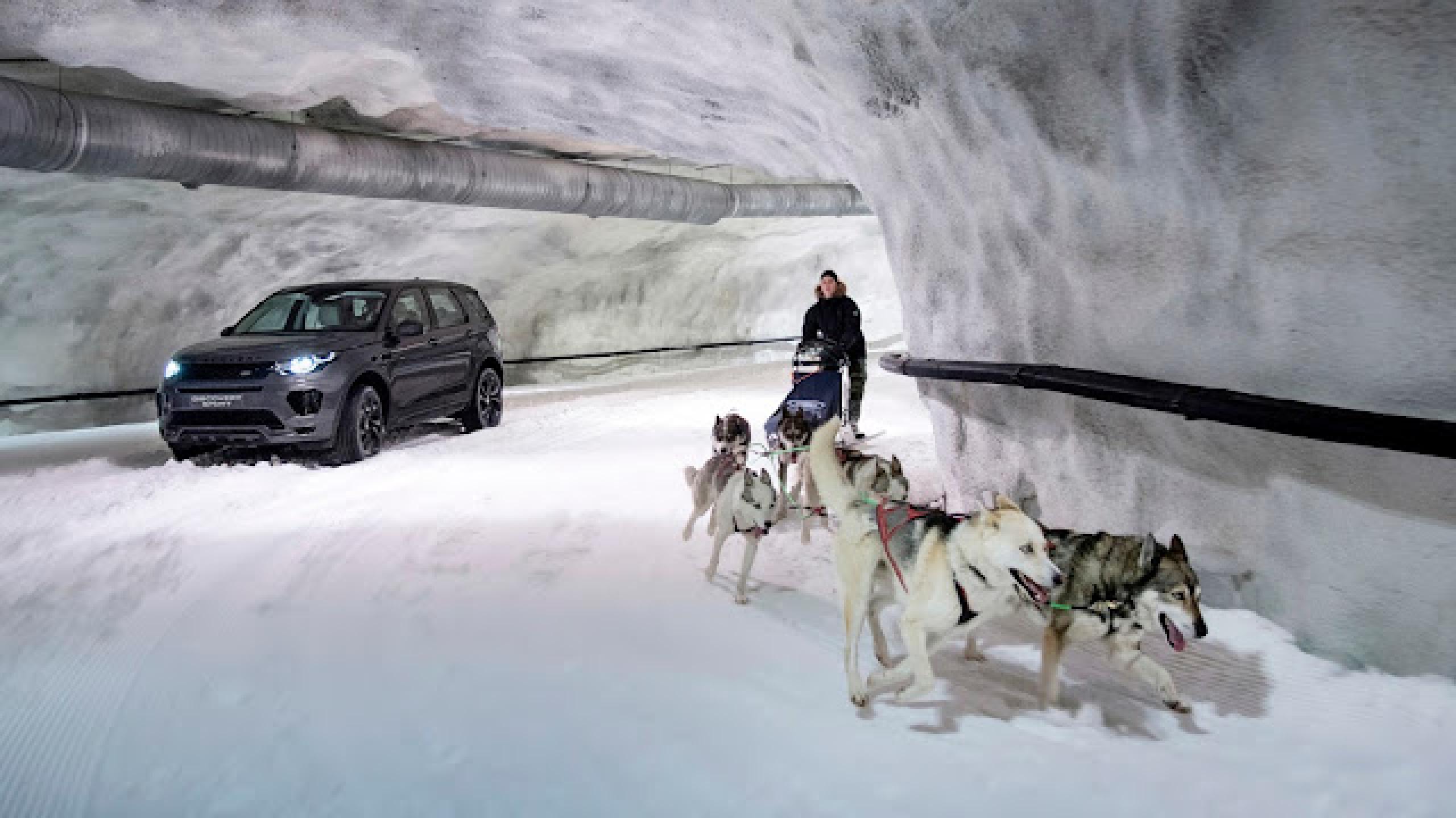 Discovery Sport challenges a team of champion sled dogs in a snow tunnel
