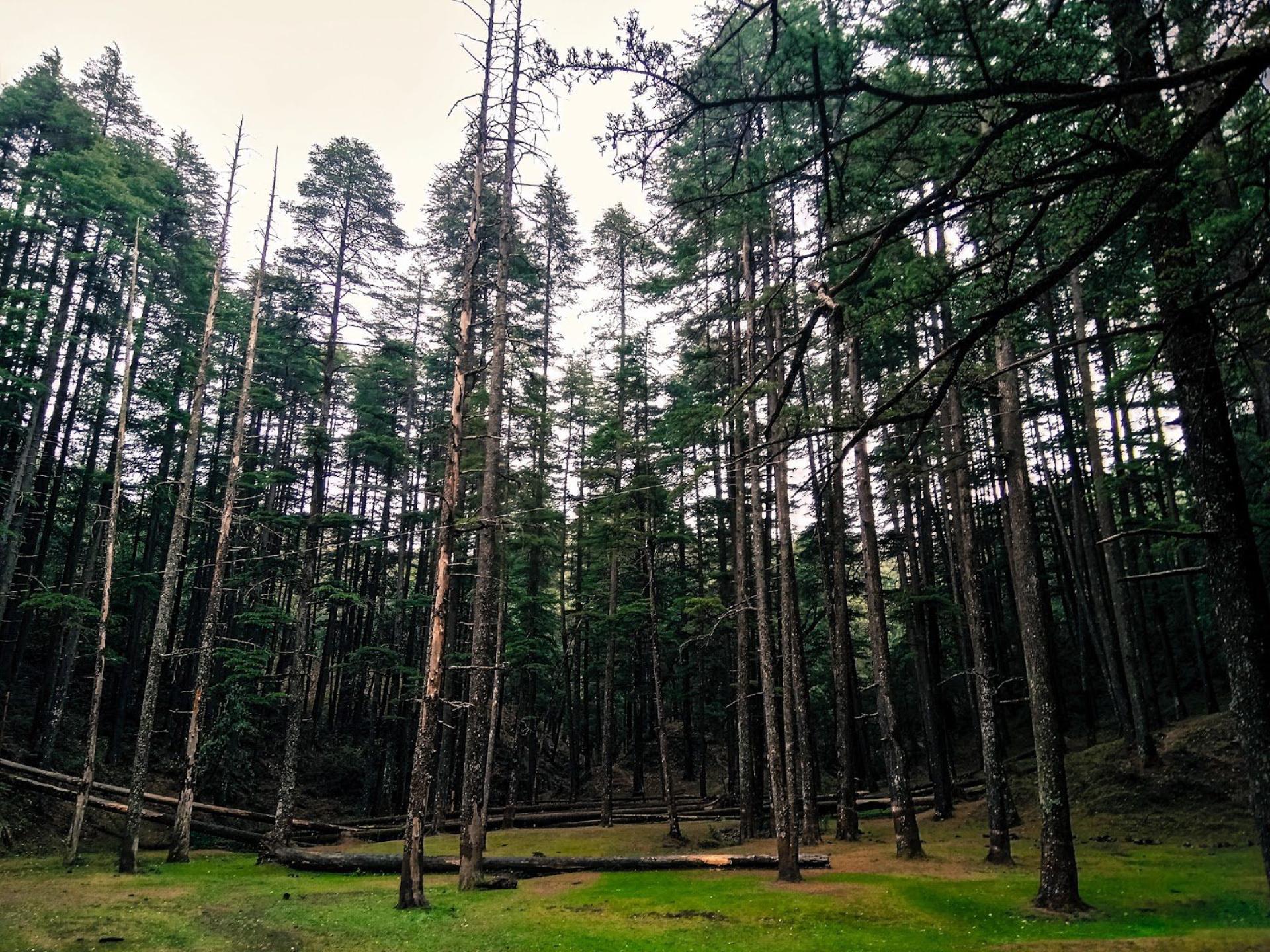 #tripping: A weekend drive to idyllic Lansdowne