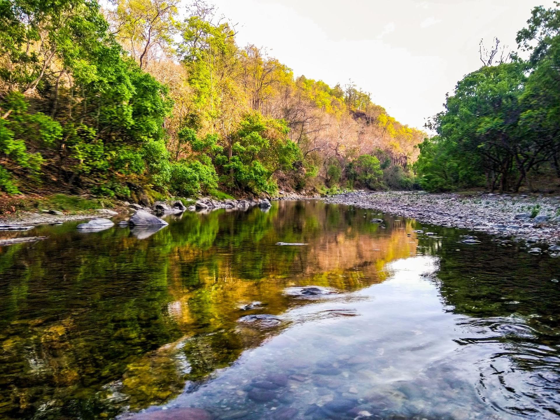 #tripping: Raw encounters at Sonanadi Wildlife Sanctuary
