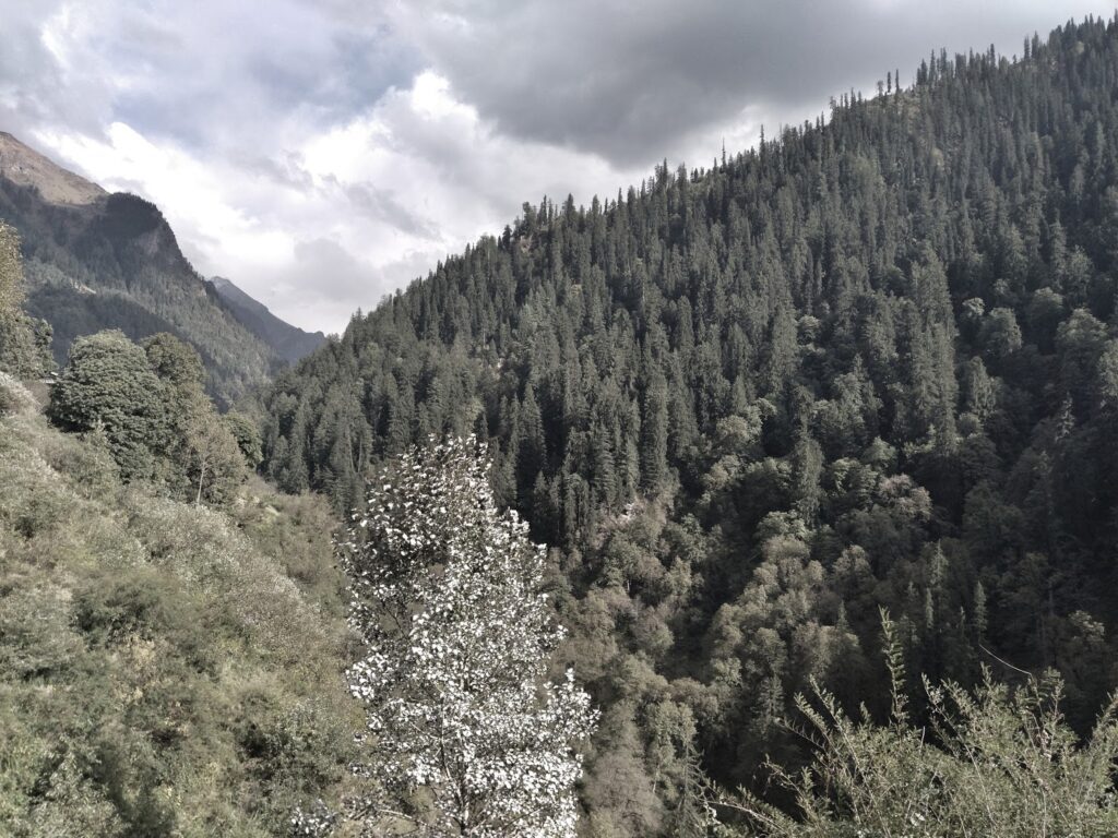 Kasol Himachal Pradesh