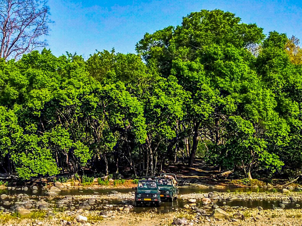 Early morning Jeep Safari at Sonanadi Wildlife Sanctuary