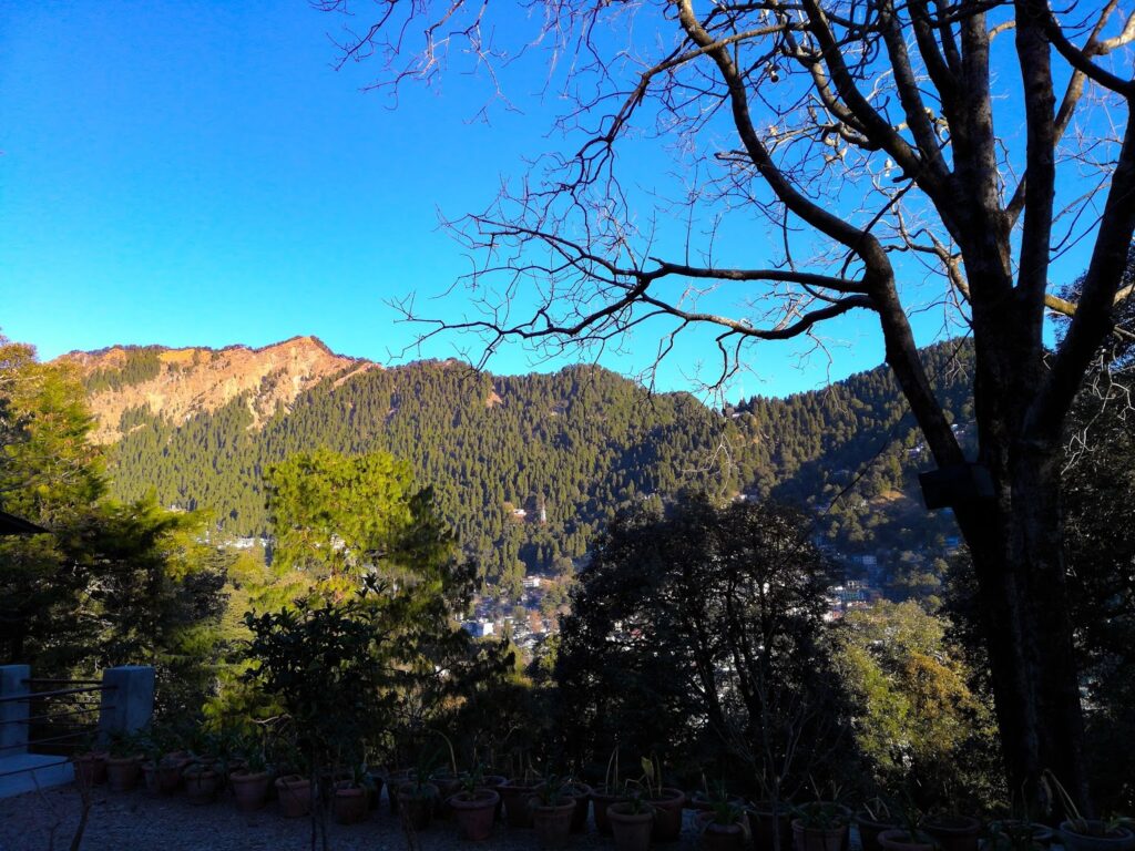 Clifton Heritage Homestay at Ayarpatta Hill