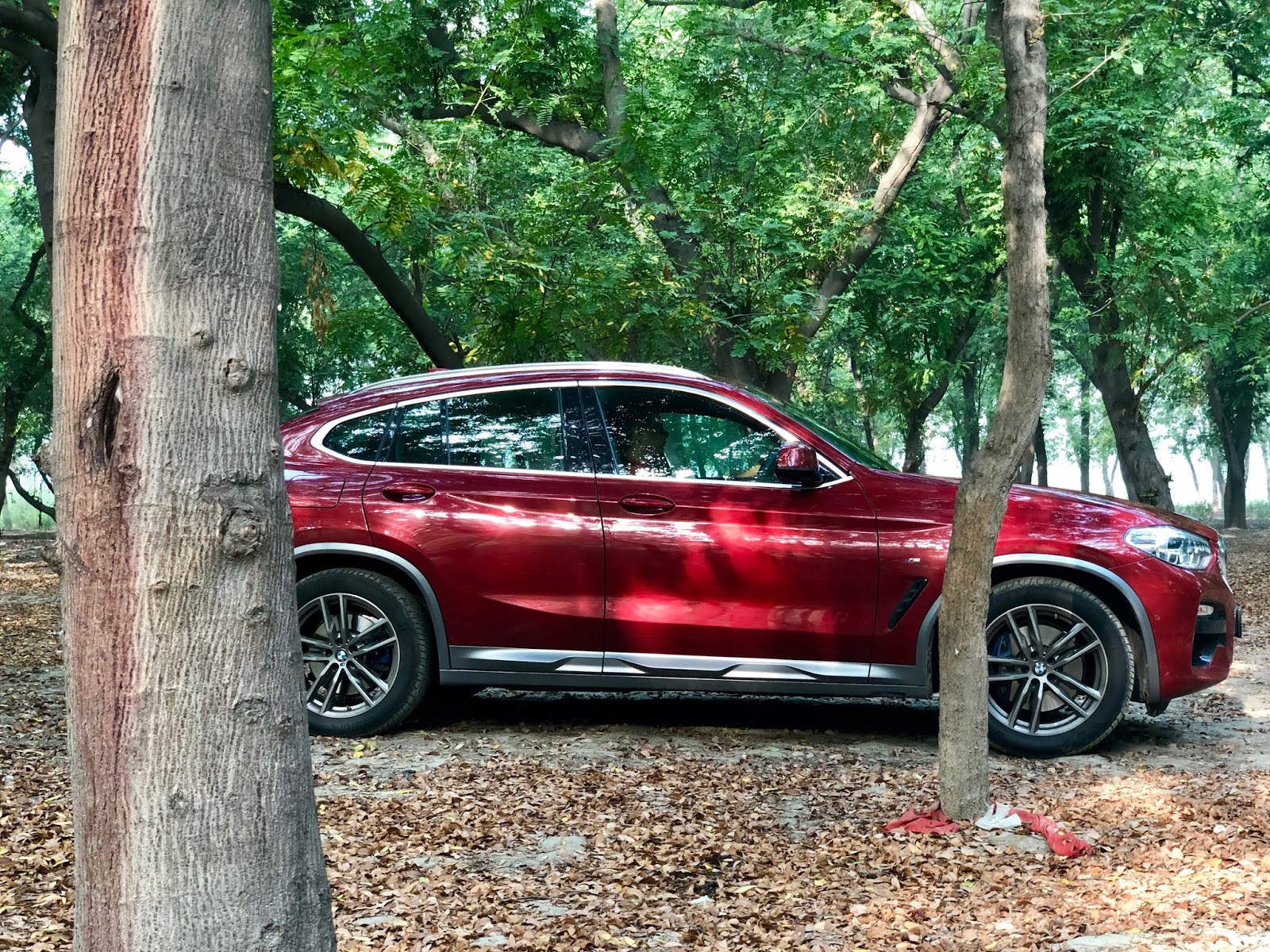 The BMW X4 xDrive30i M Sport Petrol in the woods