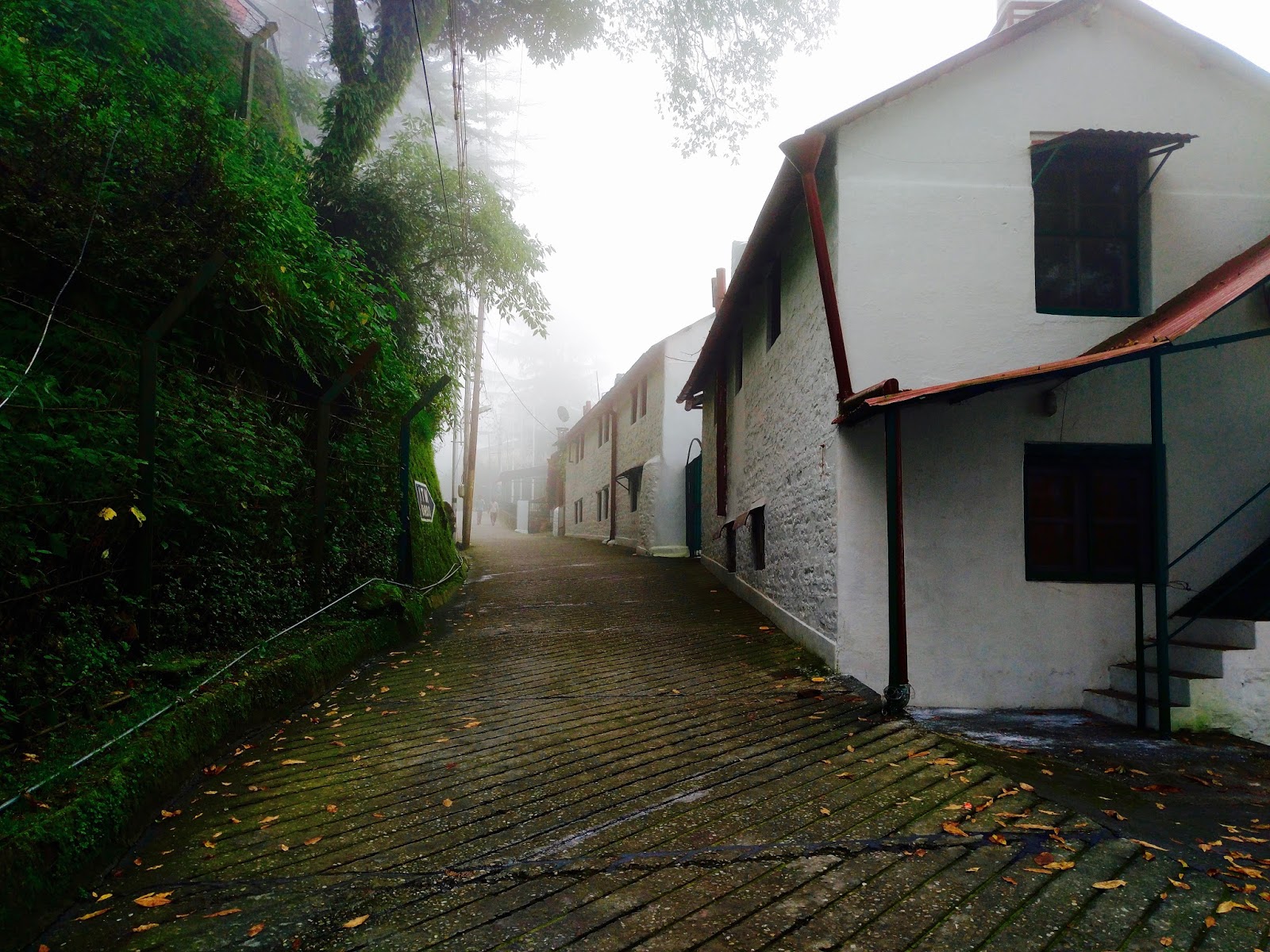 Whitewashed stone walled homes with red tin roofs in Landour, paved pathways and lush greens