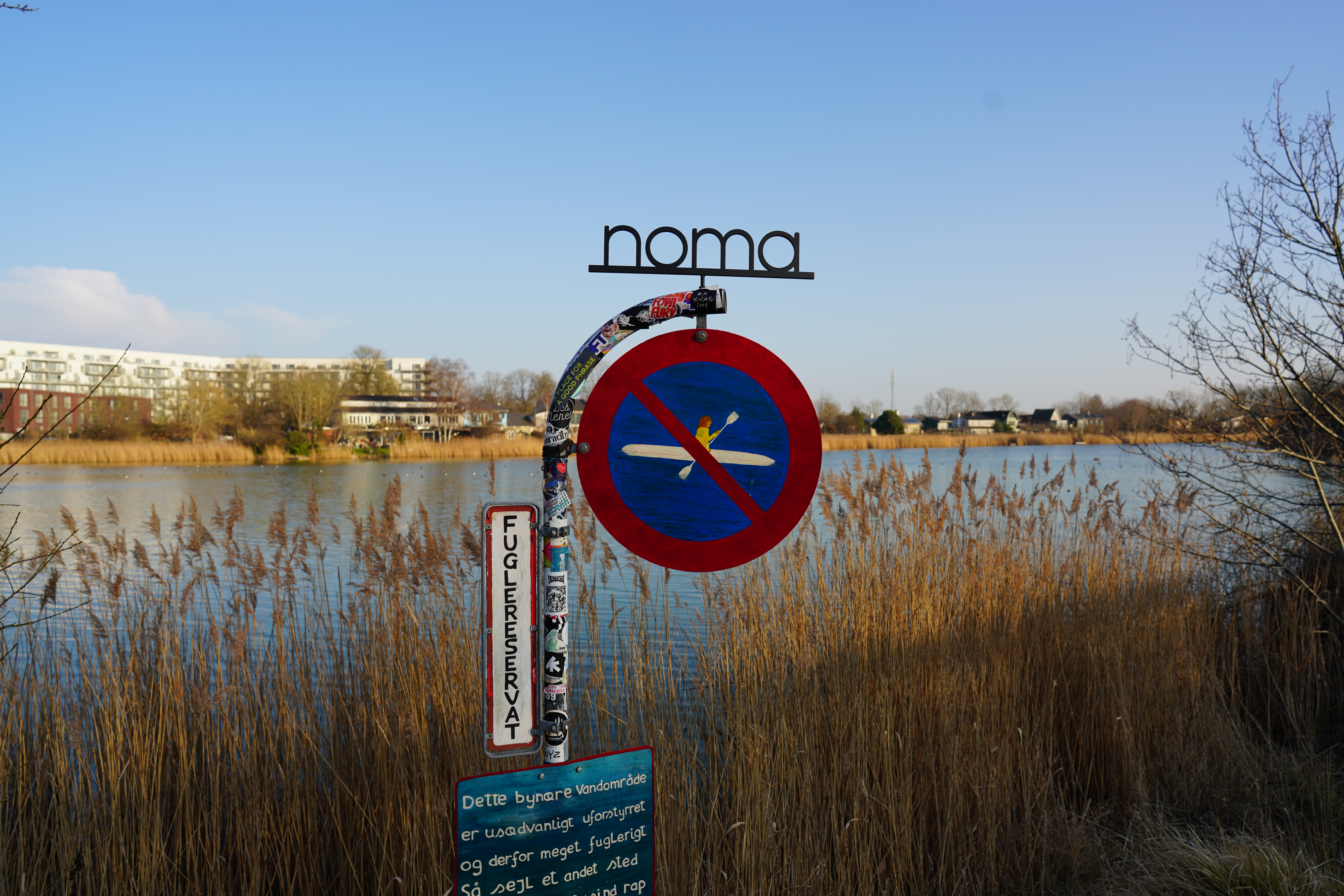 Noma Ocean Season 2025 19